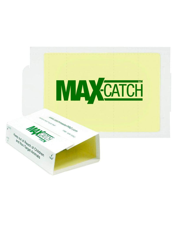 Traps - Catchmaster MaxCatch Giant Glue Boards 24GRB