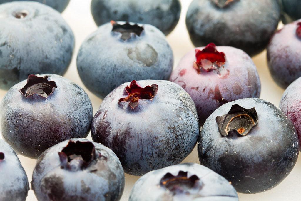 Blueberry Time: How to Grow Blueberries - Phoenix Environmental Design Inc.