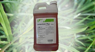 What is Glyphosate and How Does It Work in Winfield Cornerstone Plus Herbicide? - Phoenix Environmental Design Inc.