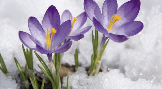 It Takes a Village to Raise an Idiot - Phoenix Environmental Design Inc.