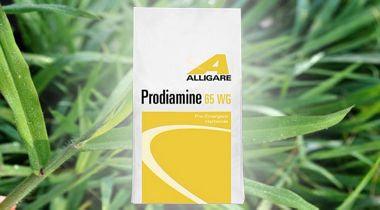 Apply Pre-Emergent Herbicides in the Spring to Prevent Spring and Summer Weeds Before They Grow - Phoenix Environmental Design Inc.