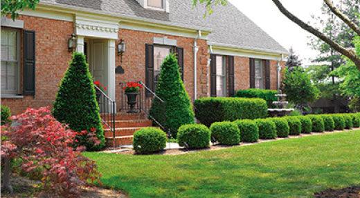 Chemical Basics For Lawn Care and Ornamentals - Phoenix Environmental Design Inc.